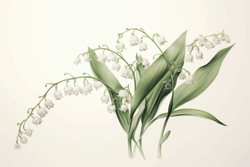 Elegant lily-of-the-valley illustration
