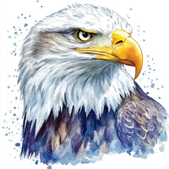 cute Eagle watercolor clipart illustration isolated