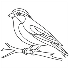 Obraz premium a beautiful bird outline vectors 