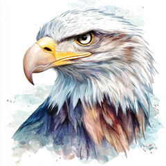 cute Eagle watercolor clipart illustration isolated