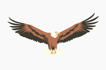 Majestic eagle in flight illustration