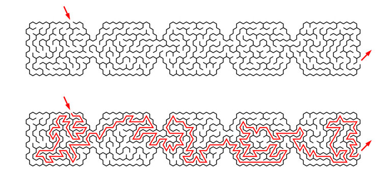 Long labyrinth composed of 5 connected hexagonal mazes. Black and white riddle of medium complexity with solution. Nice brainstorm puzzle. Intermediate difficulty level