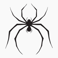 Detailed black spider silhouette illustration