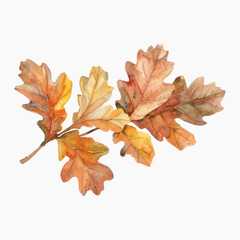 Autumn oak leaves watercolor painting