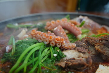 Korean health food Yeonpotang. Boiled with octopus and various vegetables.