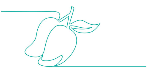 Continuous one line drawing of mango fruit with leaf. Mango fruit hand drawn single line art vector illustration, Continuous line drawing mango fruit. Healthy food natural organic concept.