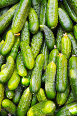 a bunch of cucumbers, green vegetables, green cucumbers