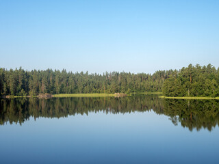 forest lake with reflections