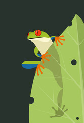 Frog sits on a leaf