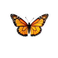 Butterfly flying isolated on transparent background with clipping path. Beautiful insect.