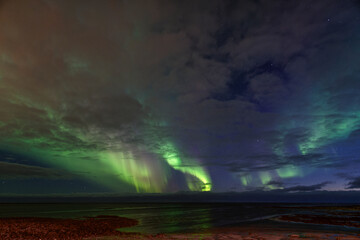 aurora borealis over the sea in Iceland