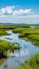 Coastal Wetland Project Showcasing Ecological Resilience and Natural Flood Defense