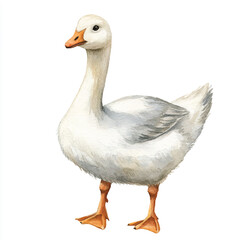 cute Goose watercolor clipart illustration isolated