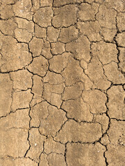 texture of cracks in the ground - dry, arid land, cracked earth full frame pattern, top view