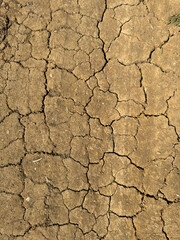 texture of cracks in the ground - dry, arid land, cracked earth full frame pattern, top view