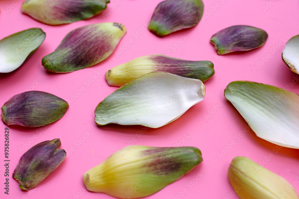 Poster artichoke petals on pink background.