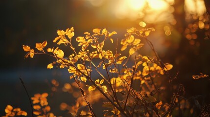  A tight shot of a plant boasting yellow blooms in front, accompanied by a backdrop of water