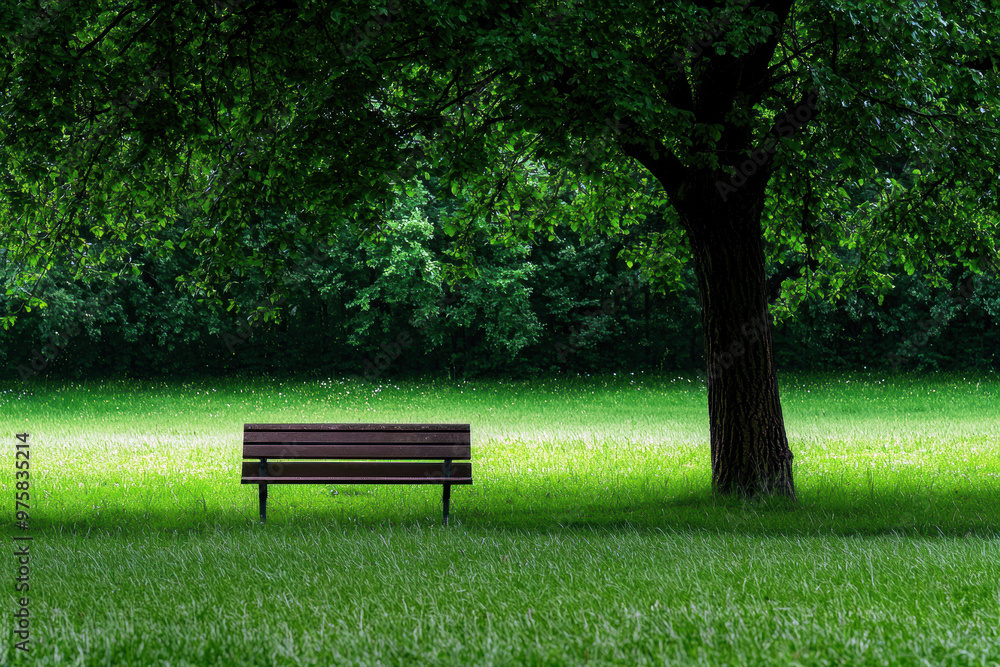 Poster a park bench sits in a lush green field. the bench is empty and the grass is wet from the rain. the 