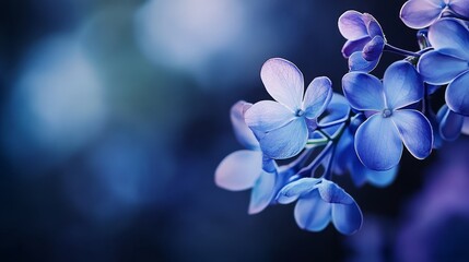  A tight shot of a blue bloom on a branch against a backdrop of softly blurred lights Foreground features an indistinct, blurry image