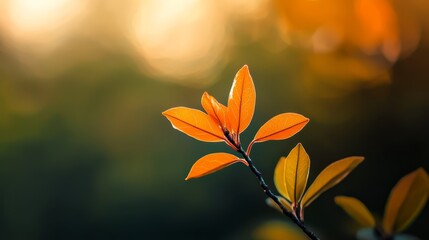  A tight shot of a leaf on a branch against softly blurred trees in the background