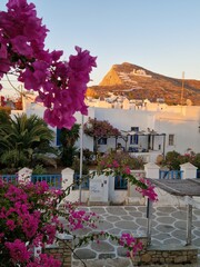Cyclades : Folegandros, Santorin, Milos