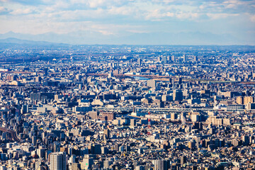 Obraz premium スカイツリーからの一望風景