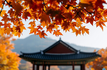 A traditional Korean temple framed by vibrant autumn leaves