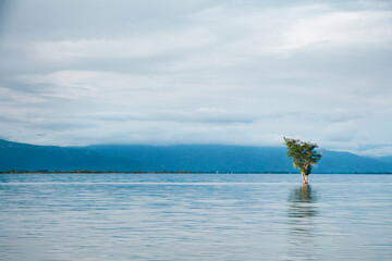 Stillness reveals nature&rsquo;s beauty.