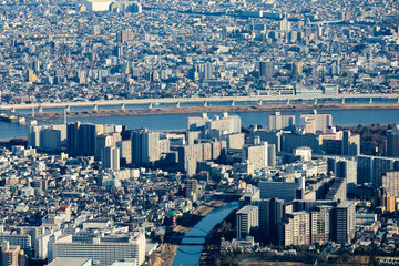 スカイツリーからの一望風景