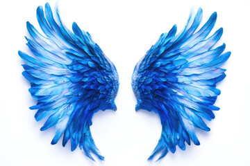 Obraz premium A vibrant pair of blue bird wings presented on a white background, symbolizing freedom and the beauty of the avian world with intricate feather details highlighted.