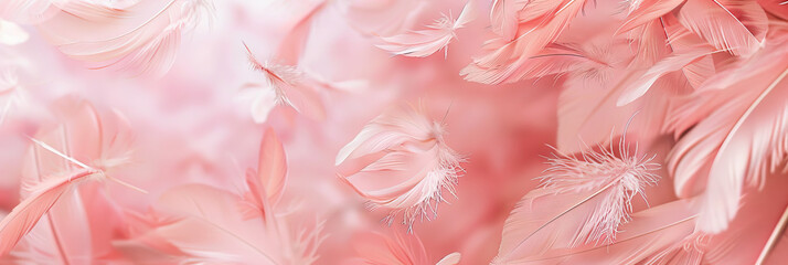 Breezy Blush: A soft, blush-pink abstract background with airy, feathery shapes, ideal for feminine-themed businesses and beauty salons.