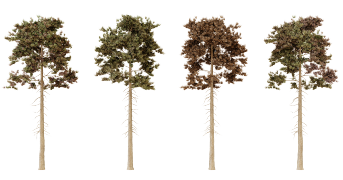 Four Seasons Tree Digital Assets for Game Design, Animation, and Illustration