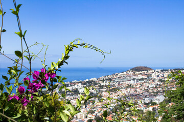 Beautiful view of the city on a summer day. Top view. Funchal. Madeira. Portugal.