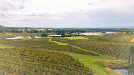 ハンターベリーのワイナリー、田園風景