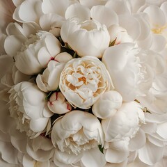 Pure white peony flowers as floral art background, wedding decor and luxury branding design