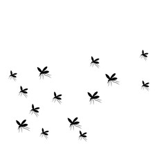 Fototapeta premium Swarm Of Flying Mosquitoes