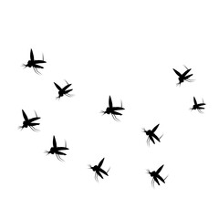Swarm Of Flying Mosquitoes