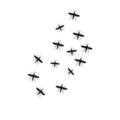 Swarm Of Flying Mosquitoes