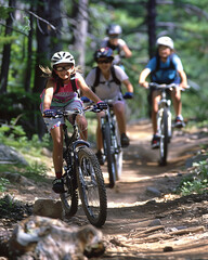 Adventurous Teenagers Mountain Biking through Challenging Trails in a Picturesque National Forest
