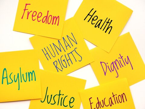 A poster for Human Rights Day featuring seven yellow sticky notes. One note displays Human Rights, while the others highlight key concepts such as freedom, justice, health, asylum, dignity, education