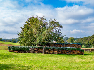 Gestapeltes Brennholz im Freien © focus finder