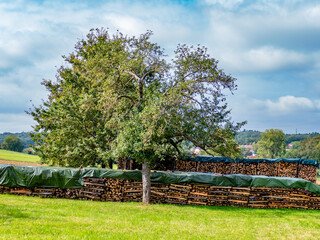 Gestapeltes Brennholz im Freien © focus finder