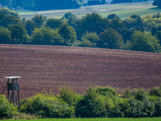 Hoch und J&auml;gersitz im Feld