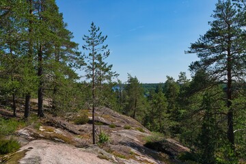 Obraz premium Finnland Reise Urlaub Wald Wasser Natur