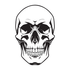 Human head skull vector, icon, illustration