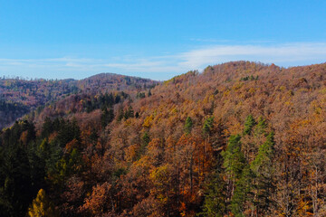 Autumn Forest Landscape with Vibrant Fall Foliage and Rolling Hills - Nature Scenery for Posters and Wall Art