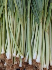 background of fresh organic green leek.