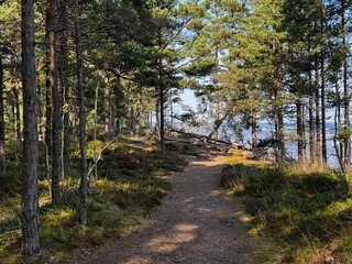 path in the woods