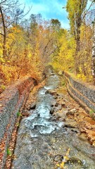 river in autumn