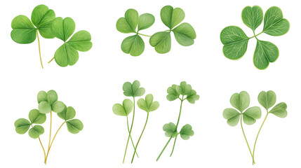 Set of Clover isolated on transparent background